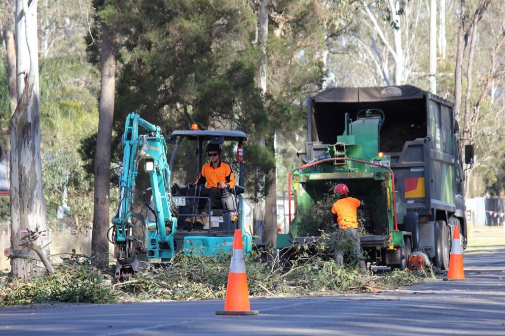 The Role of Arborist Services in Sydney’s Green Infrastructure Future